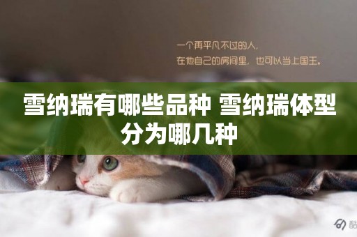 雪納瑞有哪些品種 雪納瑞體型分為哪幾種