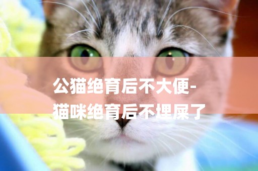 公貓絕育后不大便-
貓咪絕育后不埋屎了