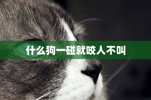 什么狗一碰就咬人不叫
