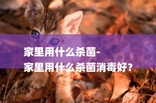 家里用什么殺菌-
家里用什么殺菌消毒好？