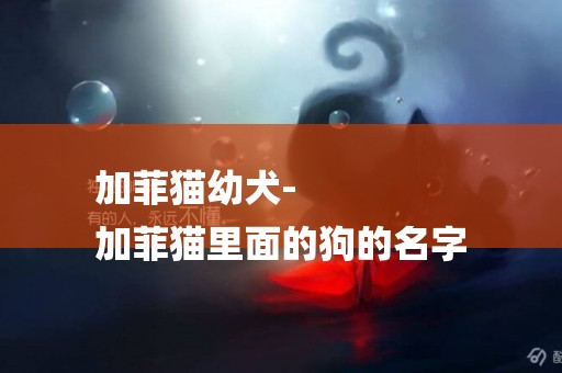 加菲貓幼犬-
加菲貓里面的狗的名字