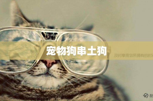 寵物狗串土狗