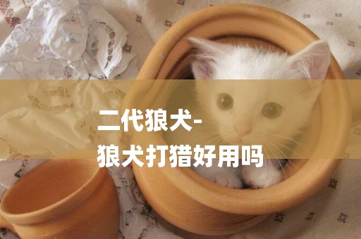 二代狼犬-
狼犬打獵好用嗎