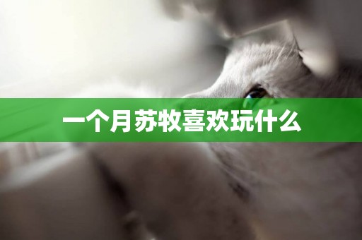 一個月蘇牧喜歡玩什么