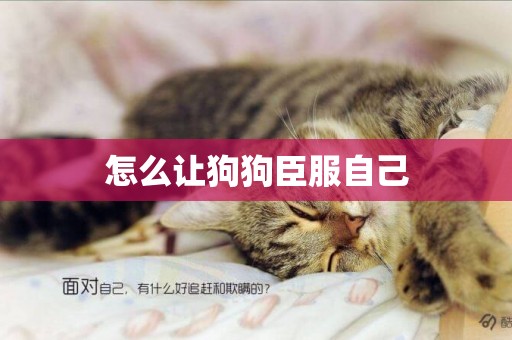 怎么讓狗狗臣服自己