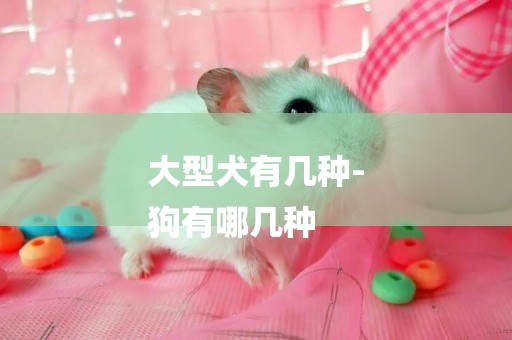 大型犬有幾種-
狗有哪幾種