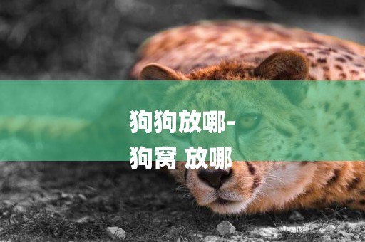 狗狗放哪-
狗窩 放哪