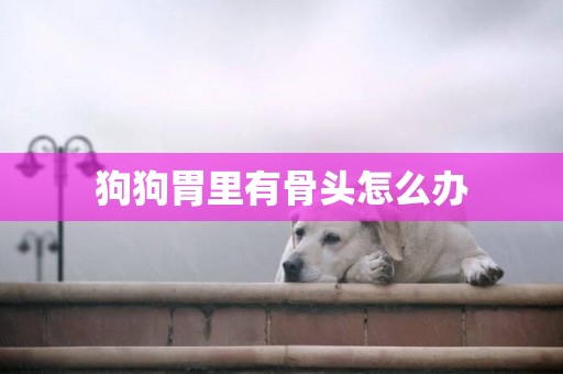 狗狗胃里有骨頭怎么辦
