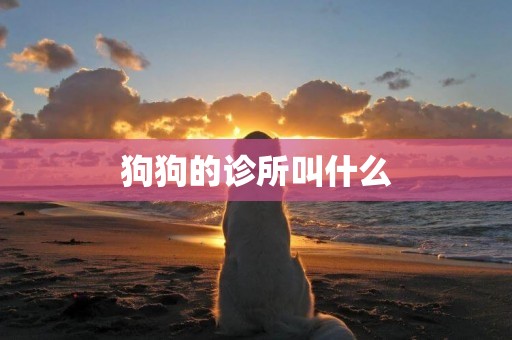 狗狗的診所叫什么