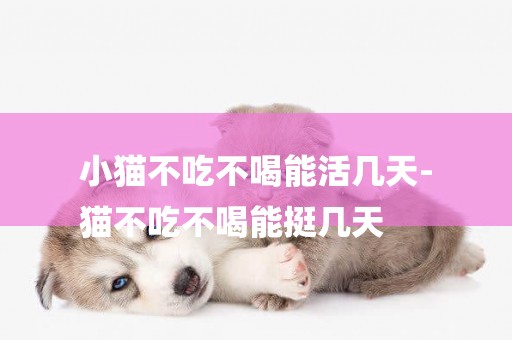 小貓不吃不喝能活幾天-
貓不吃不喝能挺幾天