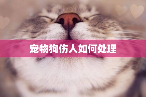 寵物狗傷人如何處理