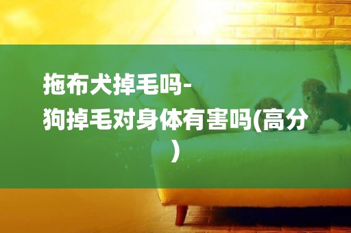 拖布犬掉毛嗎-
狗掉毛對身體有害嗎(高分)