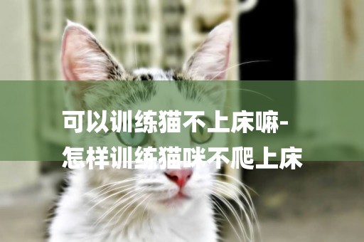 可以訓練貓不上床嘛-
怎樣訓練貓咪不爬上床