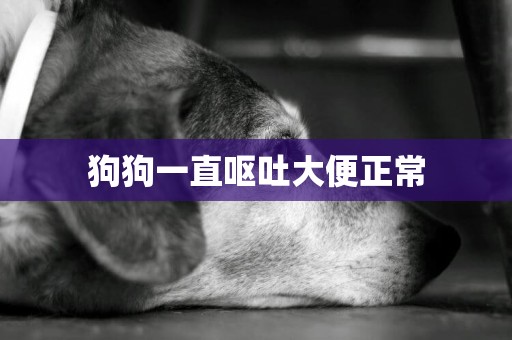 狗狗一直嘔吐大便正常