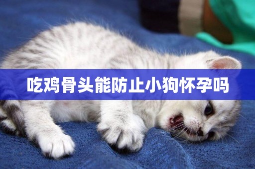 吃雞骨頭能防止小狗懷孕嗎