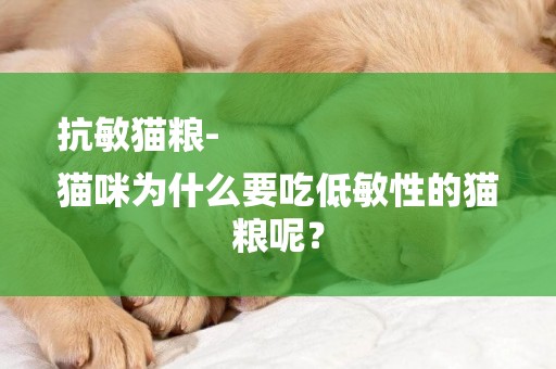 抗敏貓糧-
貓咪為什么要吃低敏性的貓糧呢？