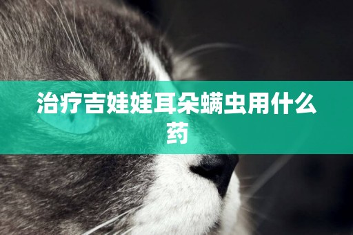 治療吉娃娃耳朵螨蟲用什么藥