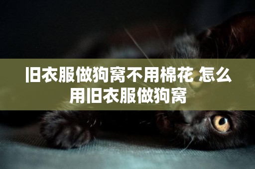 舊衣服做狗窩不用棉花 怎么用舊衣服做狗窩