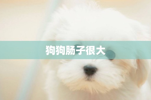 狗狗腸子很大