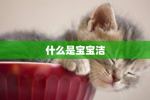 什么是寶寶潔