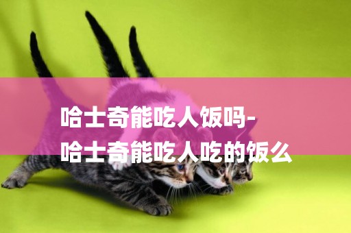 哈士奇能吃人飯嗎-
哈士奇能吃人吃的飯么