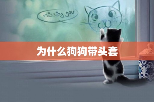 為什么狗狗帶頭套
