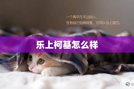 樂上柯基怎么樣
