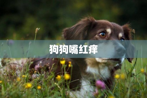 狗狗嘴紅癢