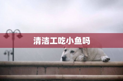 清潔工吃小魚嗎