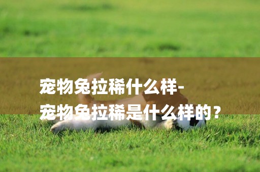寵物兔拉稀什么樣-
寵物兔拉稀是什么樣的？