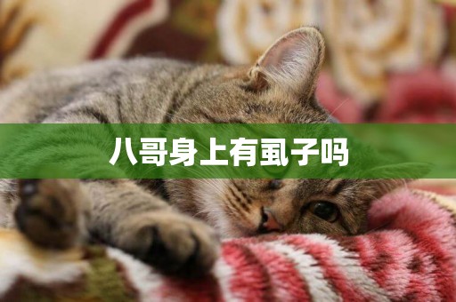 八哥身上有虱子嗎