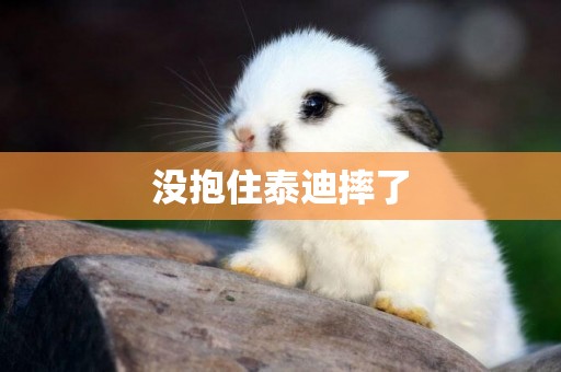 沒抱住泰迪摔了