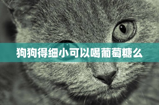 狗狗得細小可以喝葡萄糖么