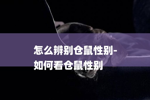 怎么辨別倉鼠性別-
如何看倉鼠性別