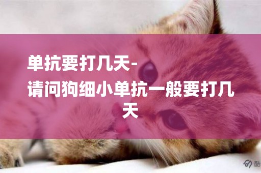 單抗要打幾天-
請問狗細小單抗一般要打幾天
