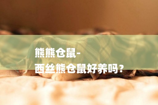 熊熊倉鼠-
西絲熊倉鼠好養嗎？