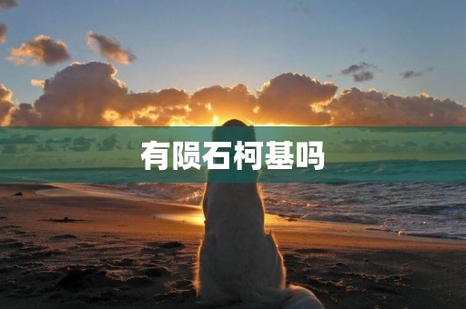 有隕石柯基嗎
