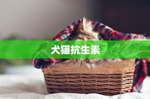 犬貓抗生素