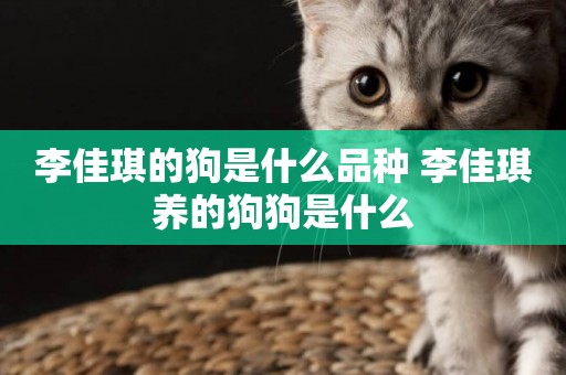 李佳琪的狗是什么品種 李佳琪養的狗狗是什么