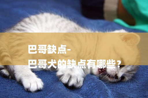 巴哥缺點-
巴哥犬的缺點有哪些？