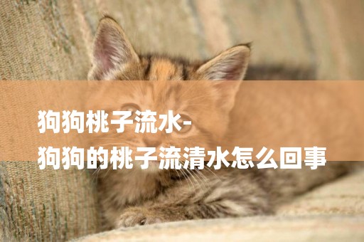 狗狗桃子流水-
狗狗的桃子流清水怎么回事
