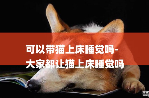 可以帶貓上床睡覺嗎-
大家都讓貓上床睡覺嗎