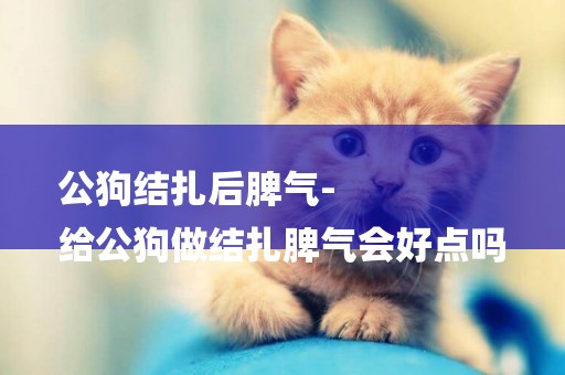 公狗結扎后脾氣-
給公狗做結扎脾氣會好點嗎
