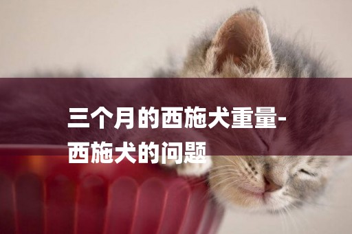 三個月的西施犬重量-
西施犬的問題