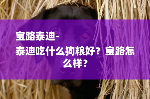 寶路泰迪-
泰迪吃什么狗糧好？寶路怎么樣？