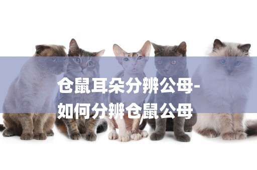 倉鼠耳朵分辨公母-
如何分辨倉鼠公母