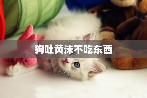 狗吐黃沫不吃東西