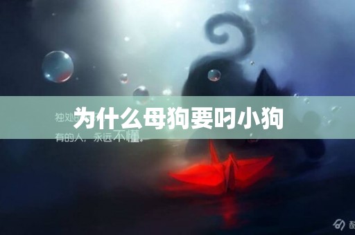 為什么母狗要叼小狗