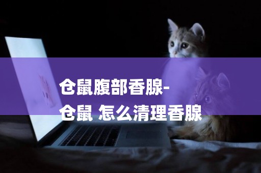 倉鼠腹部香腺-
倉鼠 怎么清理香腺
