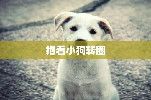 抱著小狗轉圈